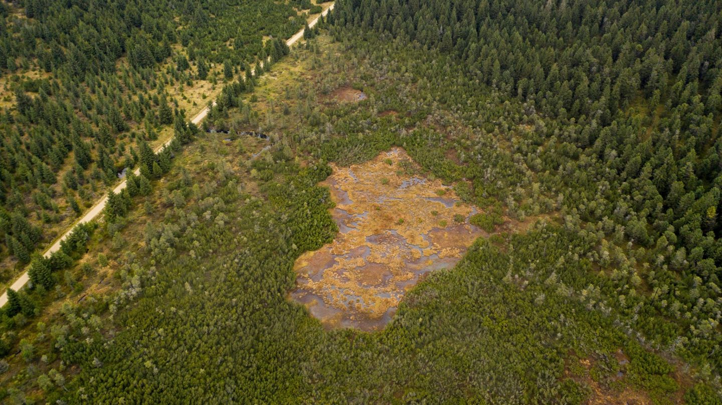 Tůně, mokřady, lesy i ekologická výchova – nadace pomohla přírodě téměř 3 miliony korun