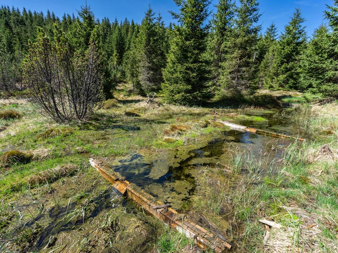 Zvýšení retence vody v NPR Rašeliniště Jizery - 2. část