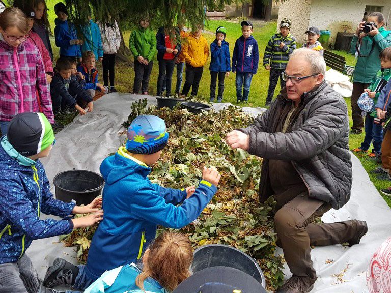 Ekologická výchova dětí v Libereckém kraji