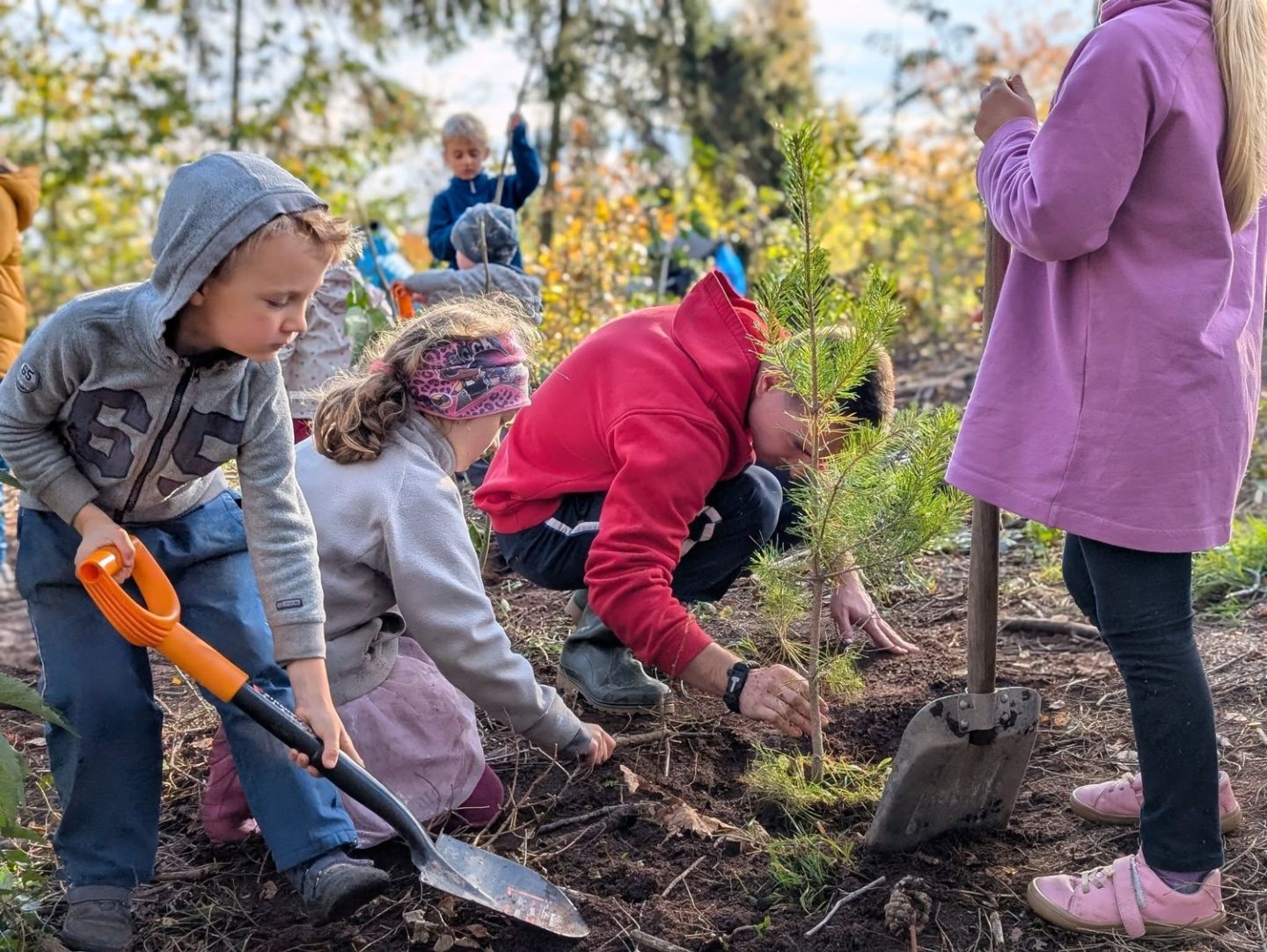 Ekologick&aacute; v&yacute;chova dět&iacute; v Libereck&eacute;m kraji 2026