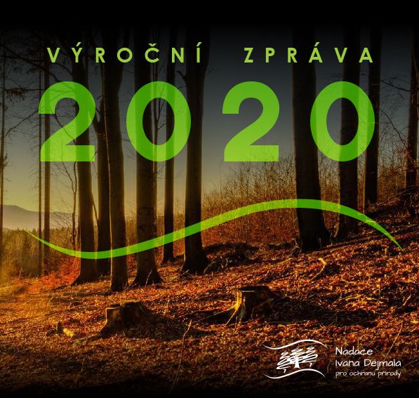 Výroční zpráva za rok 2020