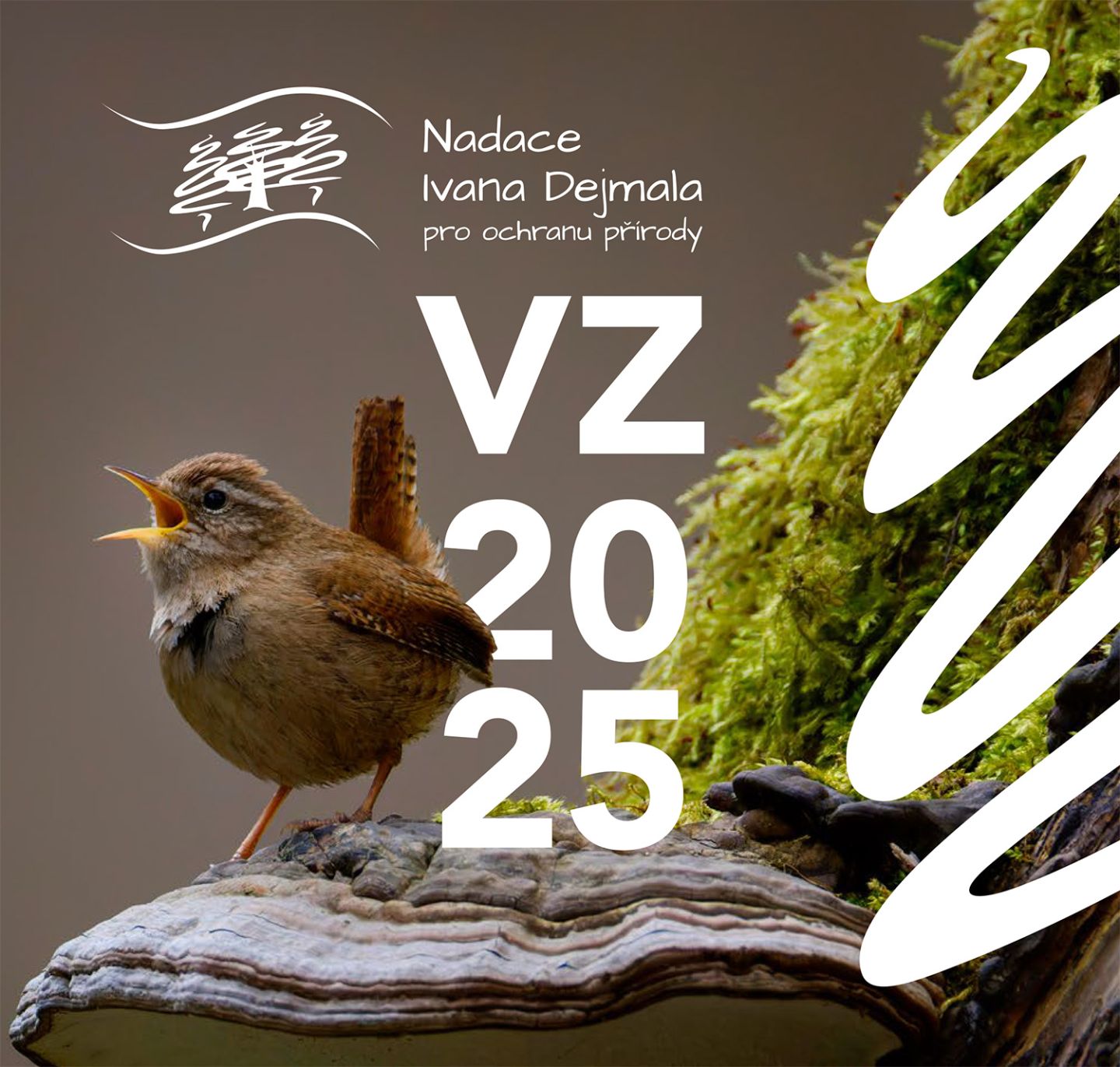 V&yacute;ročn&iacute; zpr&aacute;va za rok 2025